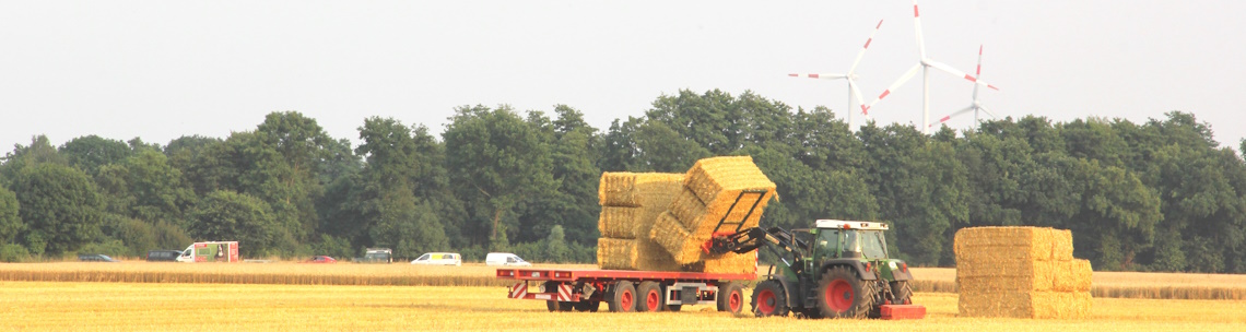 Heide Wirtz-Naujoks_2